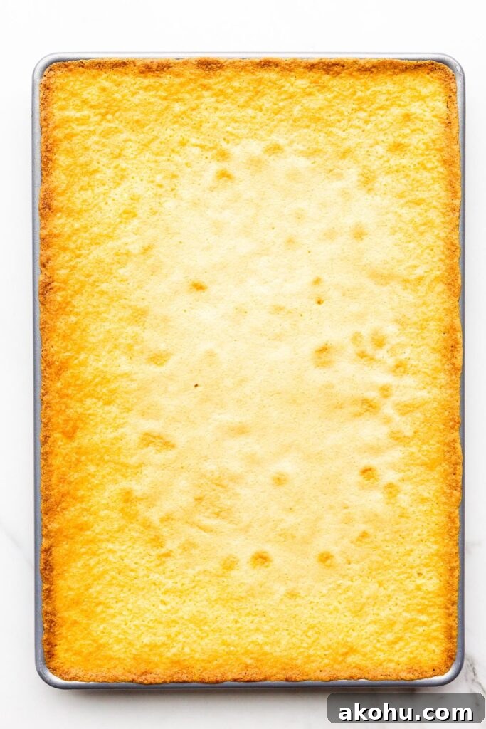 Vanilla sheet cake baked.
