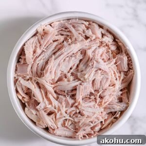 Shredded Chicken Recipe