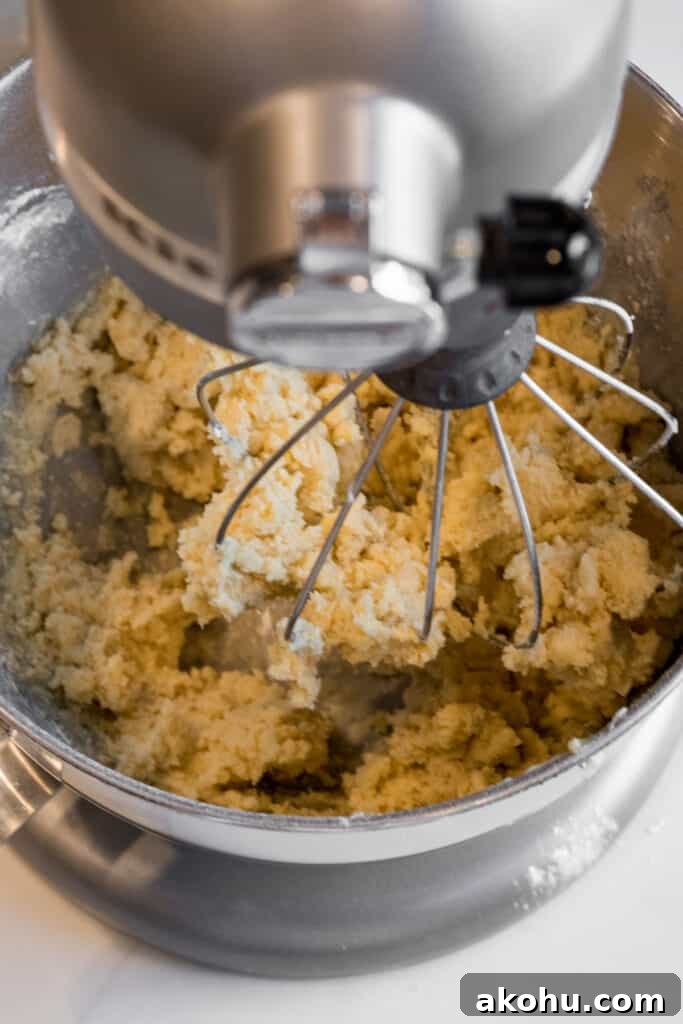 sugar cookie dough in a stand mixer