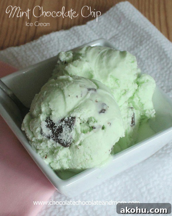 Mint Chocolate Chip Ice Cream Recipe and Tips for Perfect Flavor 2 Mint Chocolate Chip Ice Cream with Andes Mints