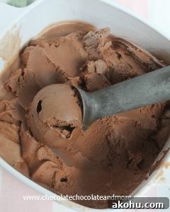 Rich Chocolate Ice Cream made with a custard base