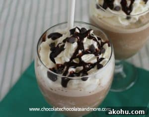 Mint Chocolate Chip Ice Cream Recipe and Tips for Perfect Flavor 13 Frozen Mocha Frappuccino