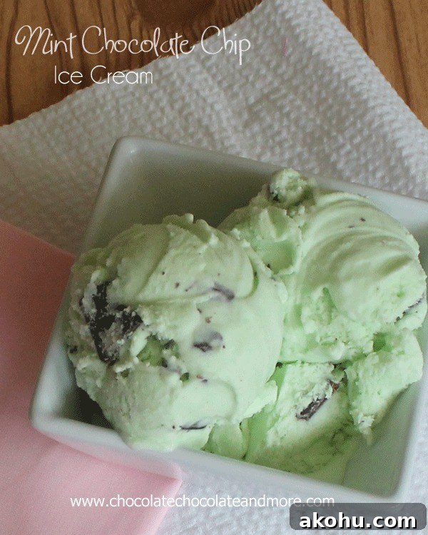 Mint Chocolate Chip Ice Cream Recipe and Tips for Perfect Flavor 3 Mint Chocolate Chip Ice Cream with Andes Mints