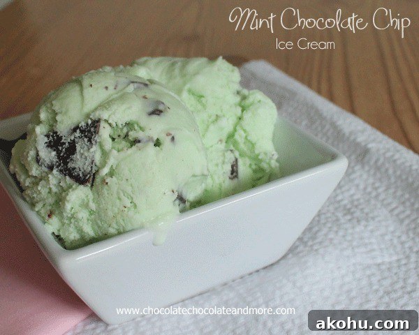 Mint Chocolate Chip Ice Cream Recipe and Tips for Perfect Flavor 4 Mint Chocolate Chip Ice Cream with Andes Mints