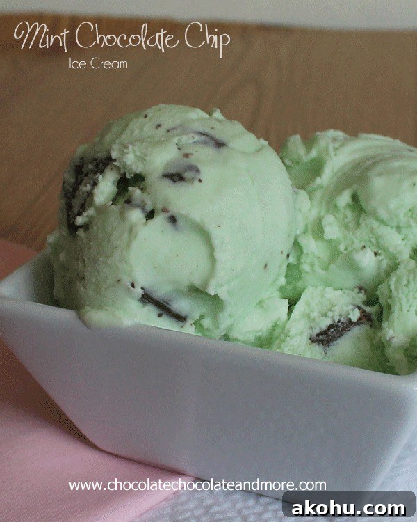 Mint Chocolate Chip Ice Cream Recipe and Tips for Perfect Flavor 5 Mint Chocolate Chip Ice Cream with Andes Mints