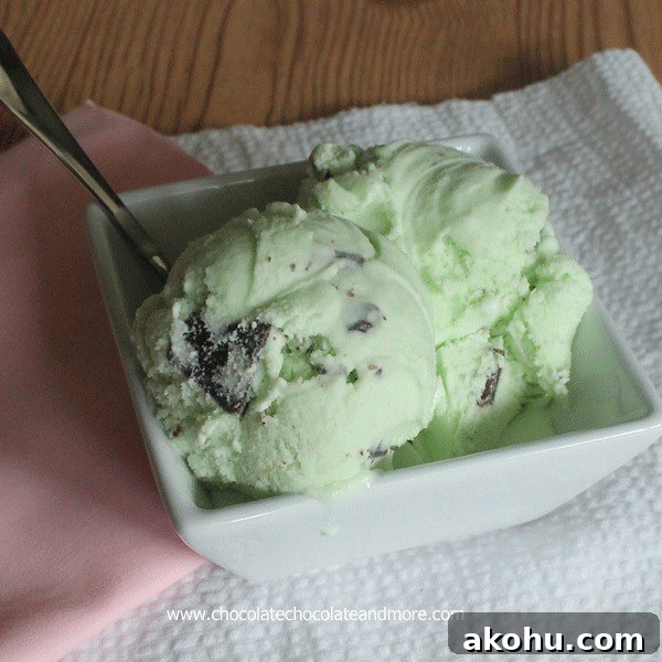 Mint Chocolate Chip Ice Cream with Andes Mints