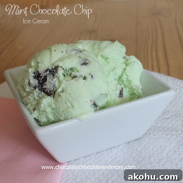 Mint Chocolate Chip Ice Cream Recipe and Tips for Perfect Flavor 9 Mint Chocolate Chip Ice Cream with Andes Mints