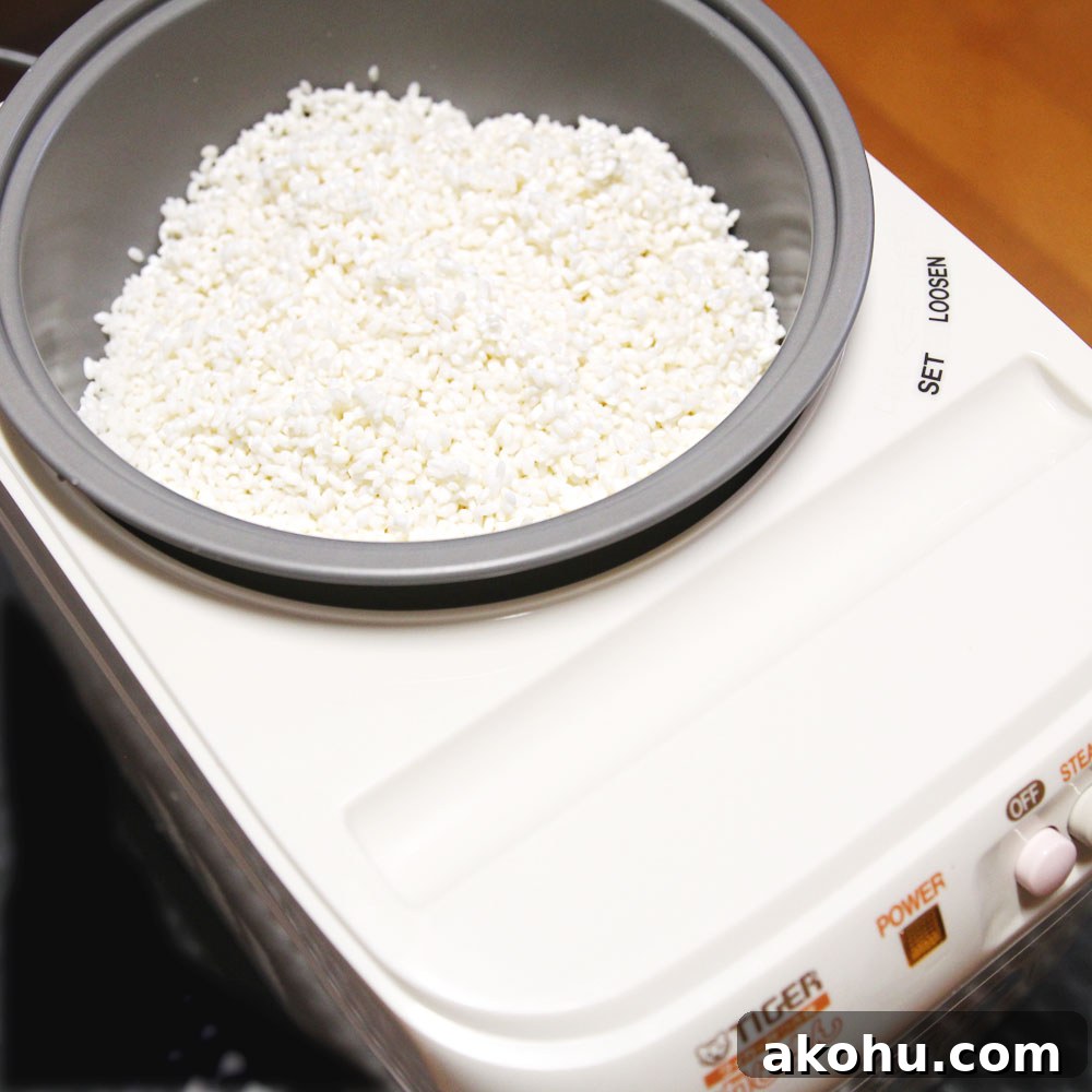 rice in mochi maker bowl