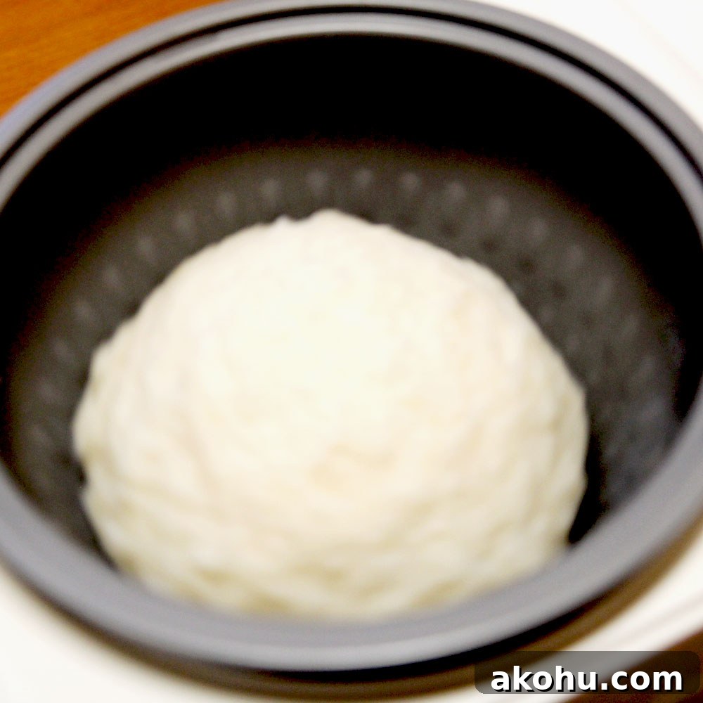 mochi maker process
