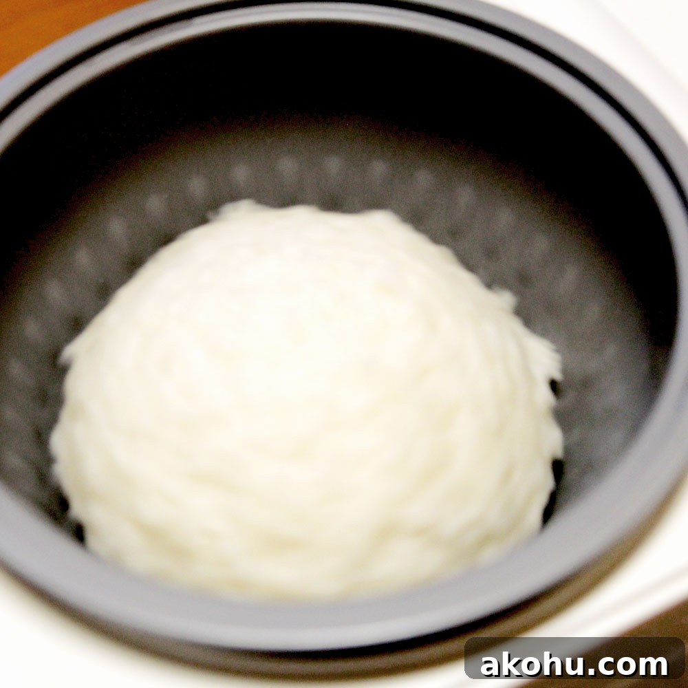 mochi forming