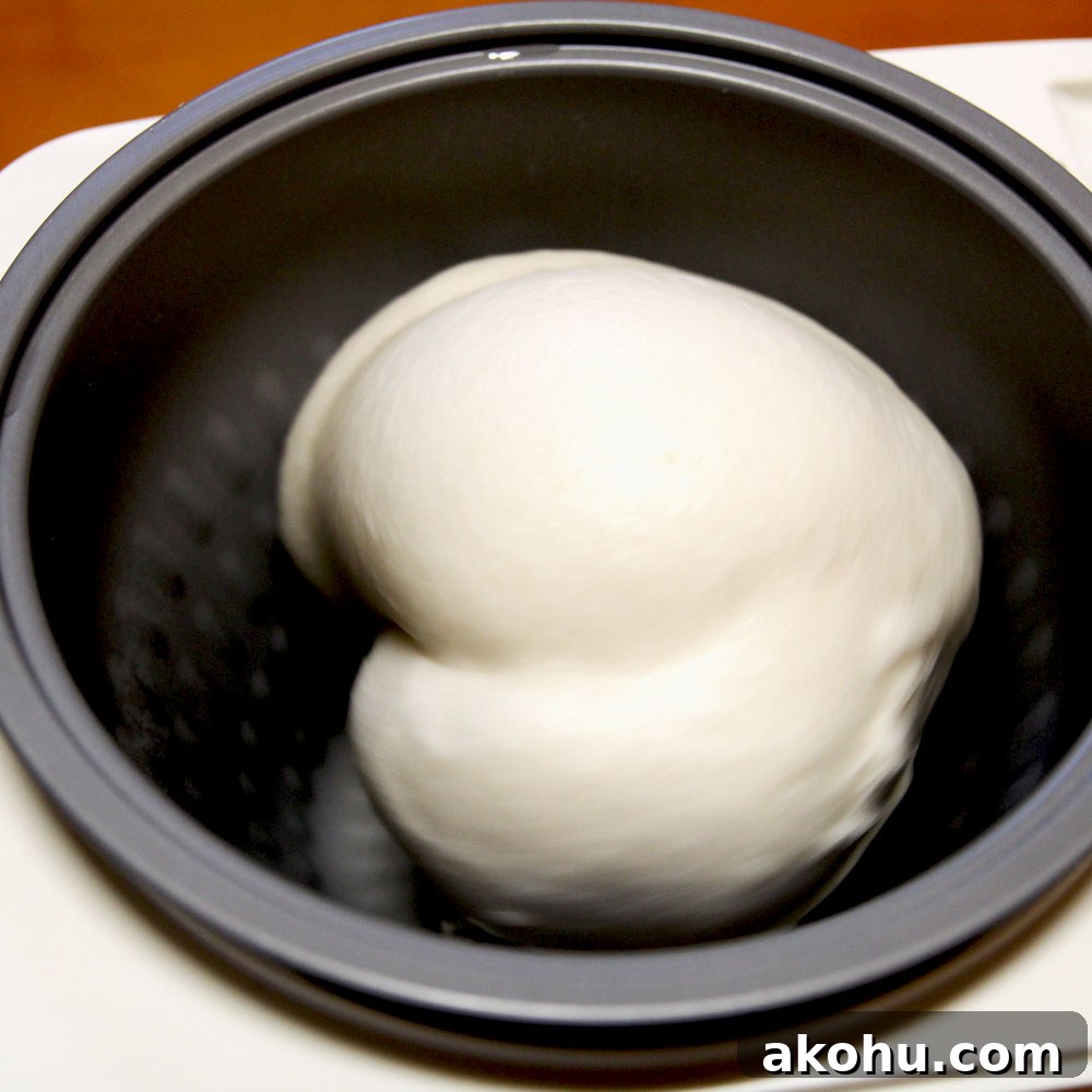 pounded mochi