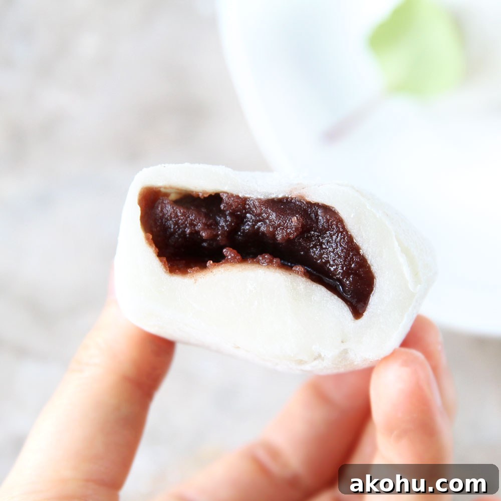 finished mochi