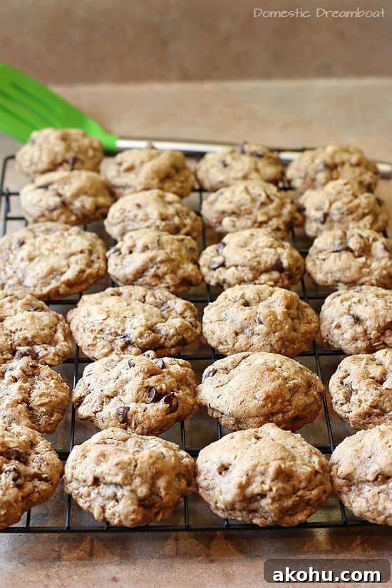 Oatmeal Chocolate Chip Cookies to Boost Milk Supply 5 Oatmeal Chocolate Chip Lactation Cookies on a cooling rack.