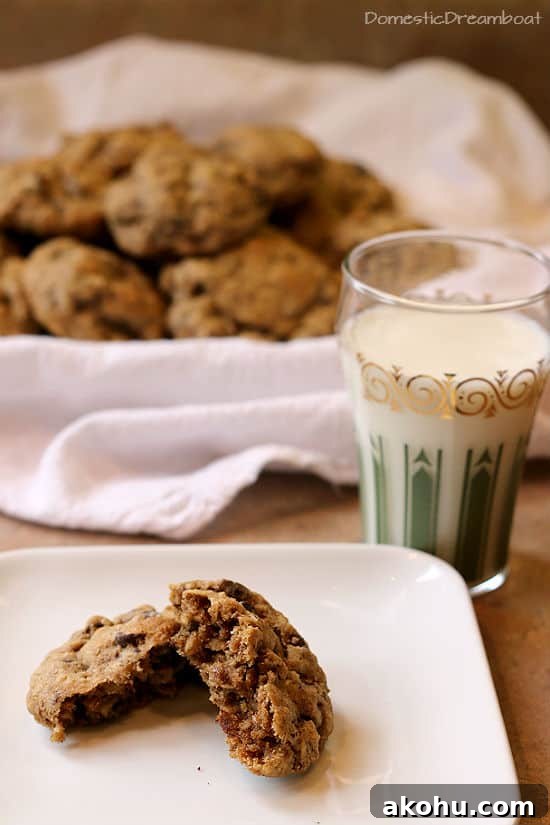 Oatmeal Chocolate Chip Cookies to Boost Milk Supply 6 Oatmeal Chocolate Chip Lactation Cookieso on a white plate.