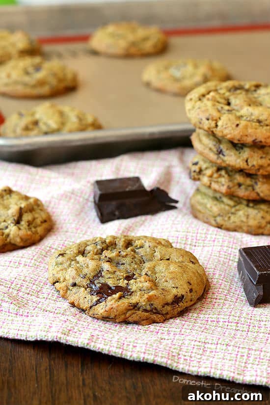 Oatmeal Chocolate Chip Cookies to Boost Milk Supply 8 Lower Sugar Chocolate Chip Cookies - Sweetened naturally with Sucanat