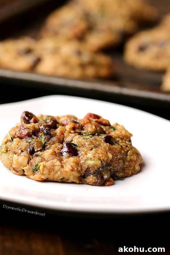 Oatmeal Chocolate Chip Cookies to Boost Milk Supply 9 Zucchini Chocolate Chip Cookies