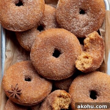 Super fluffy baked gluten-free apple cider donuts coated in cinnamon sugar, soft and light like farmstand favorites.