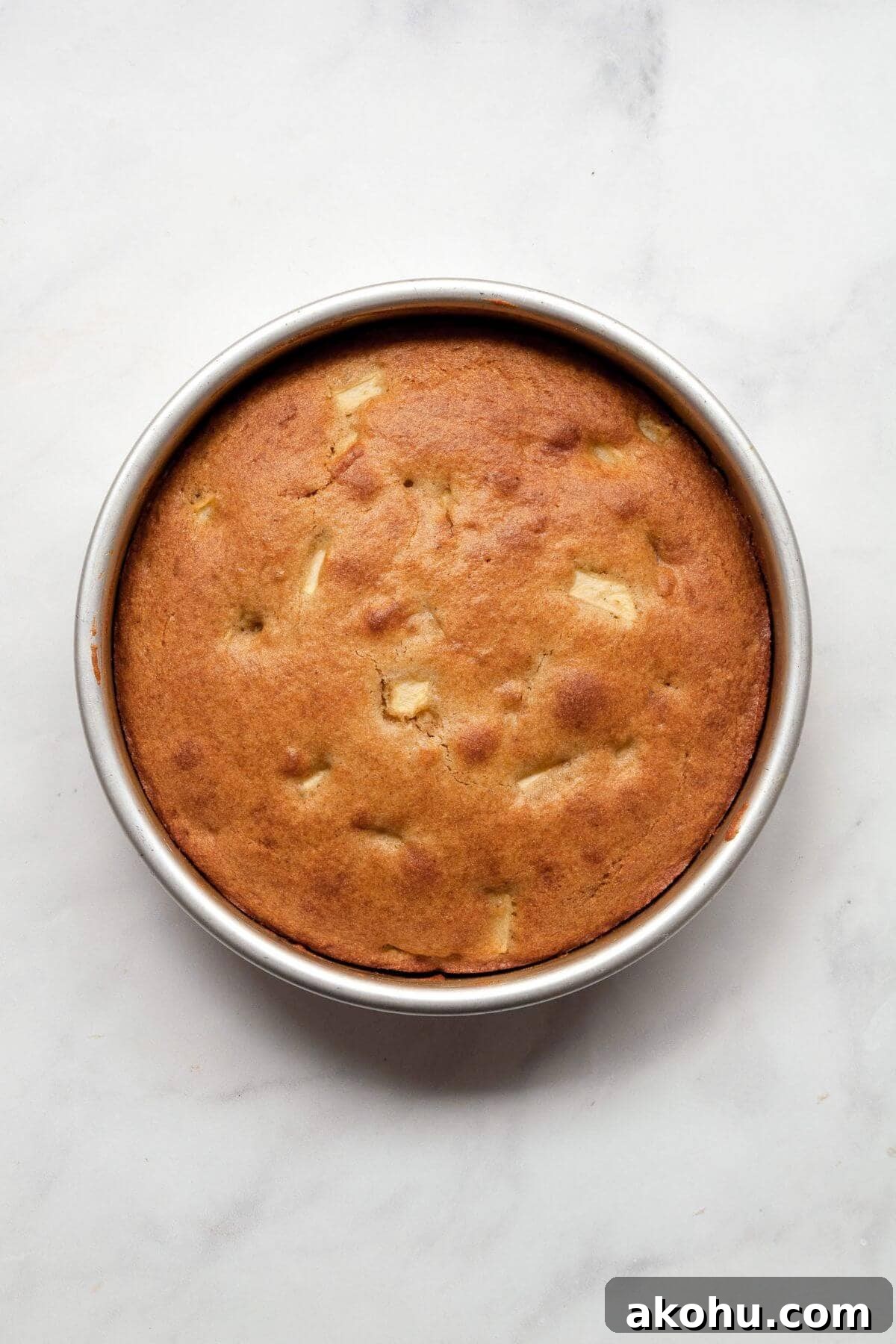 Gluten-Free Apple Cake: Moist Recipe with Cinnamon Crumble 8 Freshly baked gluten-free apple cake in a cake pan with a golden top.