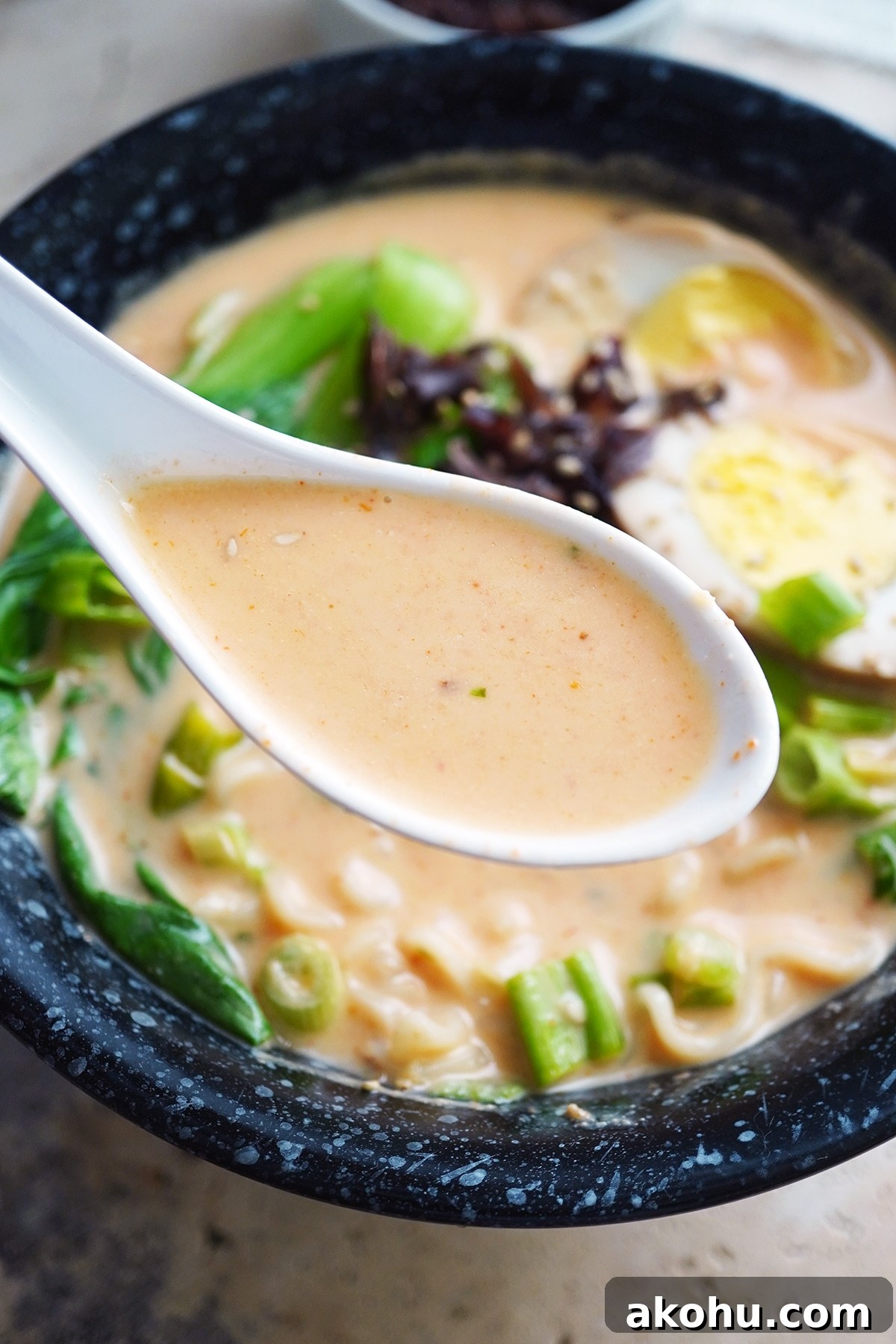 Laksa Ramen Broth