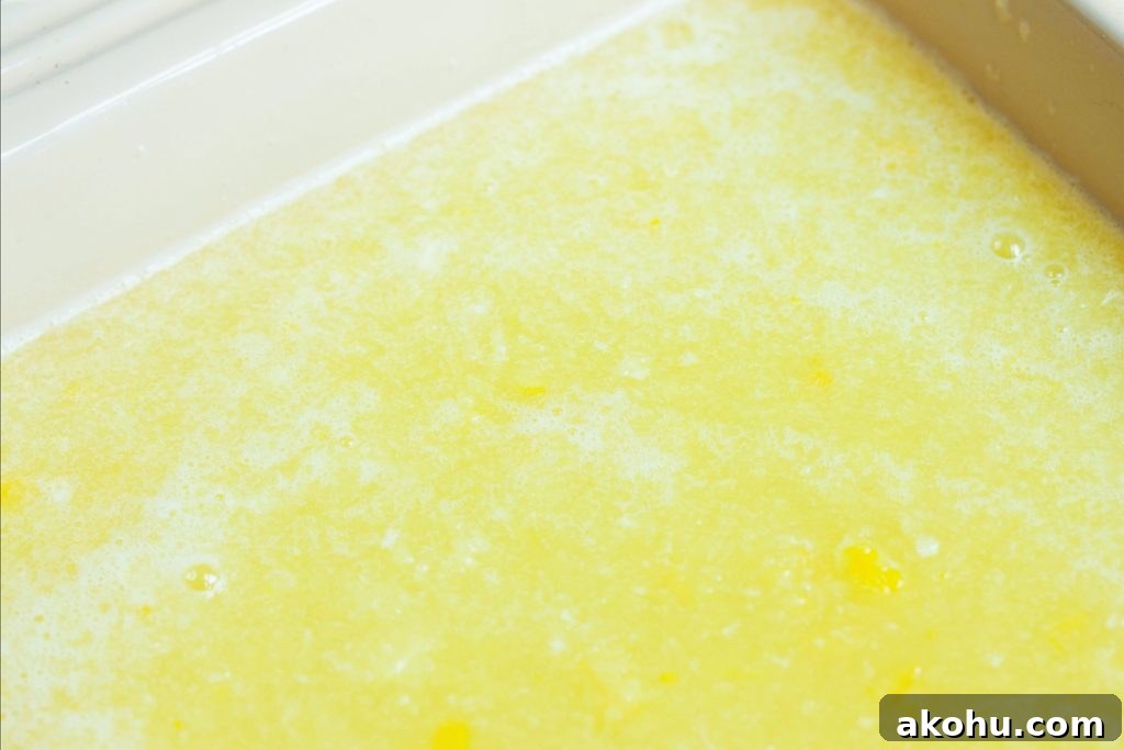 Elderflower Granita With Honeydew Melon