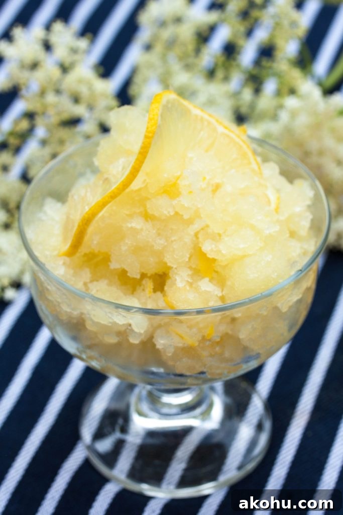 Elderflower Granita With Honeydew Melon