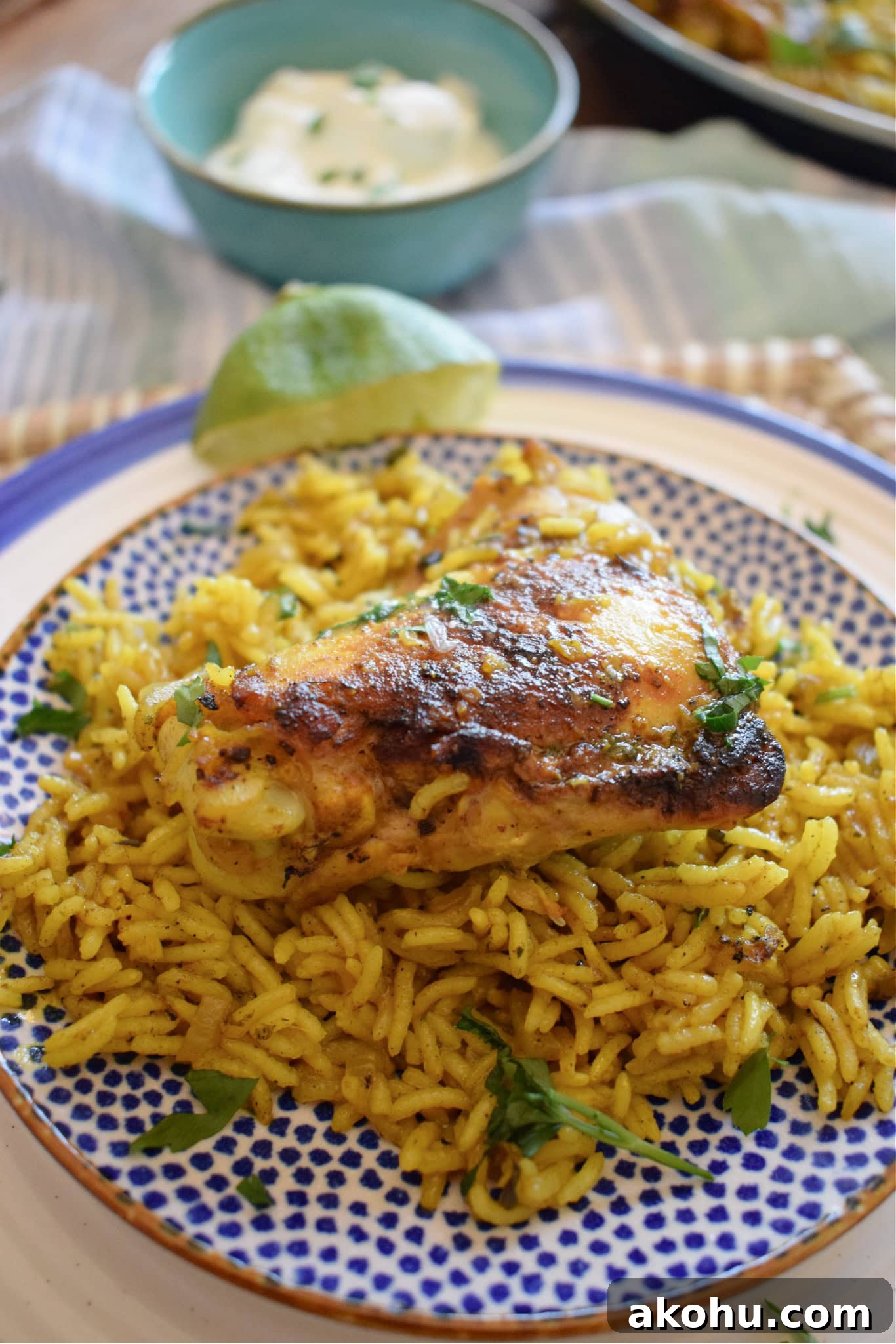 CLOSE UP OF MOROCCAN CHICKEN