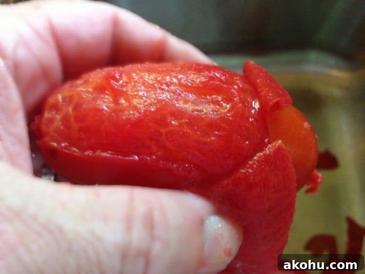 Baked Eggplant in Fresh Basil Marinara Sauce 6 A close up of a Roma tomato with the skin off
