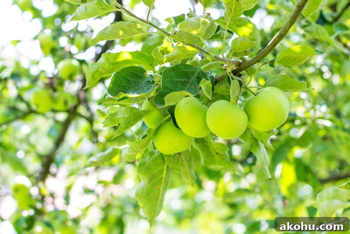 Taste of Home - Apple | happyfoodstube.com