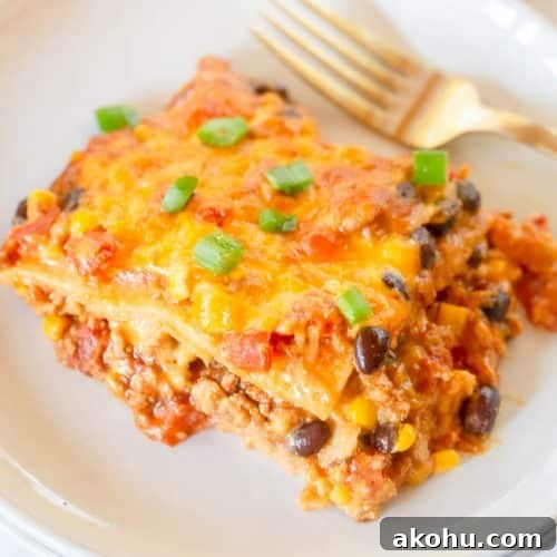Turkey Enchilada Casserole
