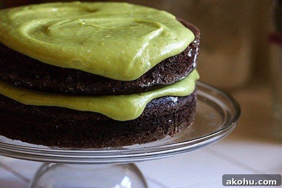 Vegan Chocolate Avocado Cake