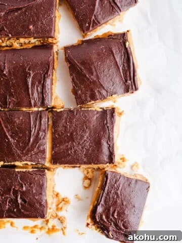 Chocolate frosted peanut butter bars.