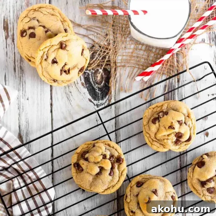 Easy Chocolate Chip Cookies