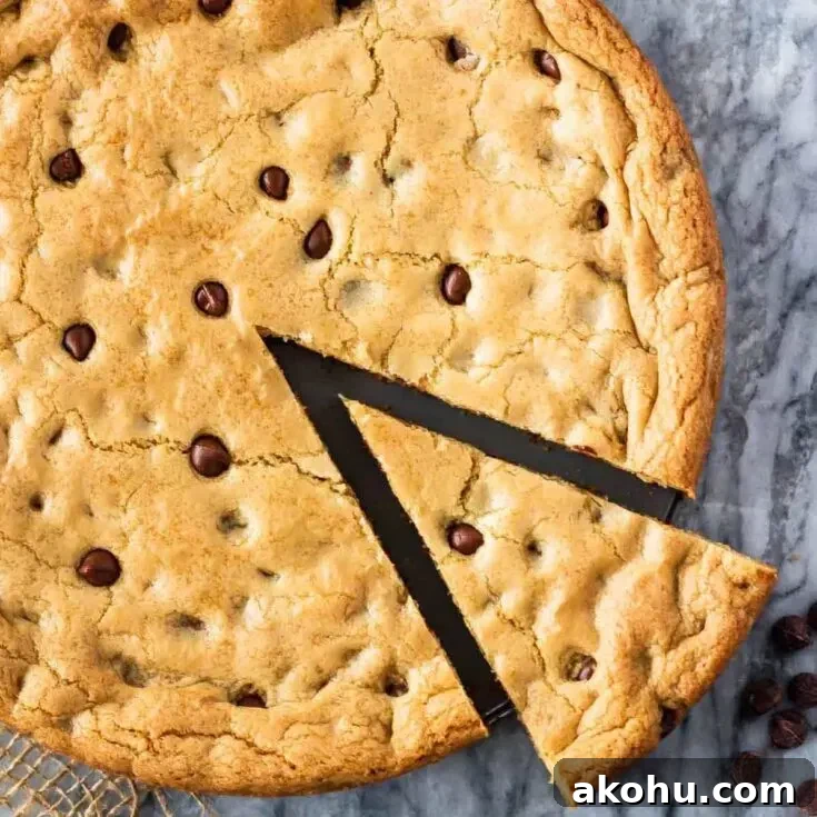 Giant Chocolate Chip Cookie