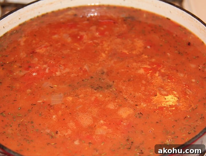 Pot of tomato soup simmering on the stove.
