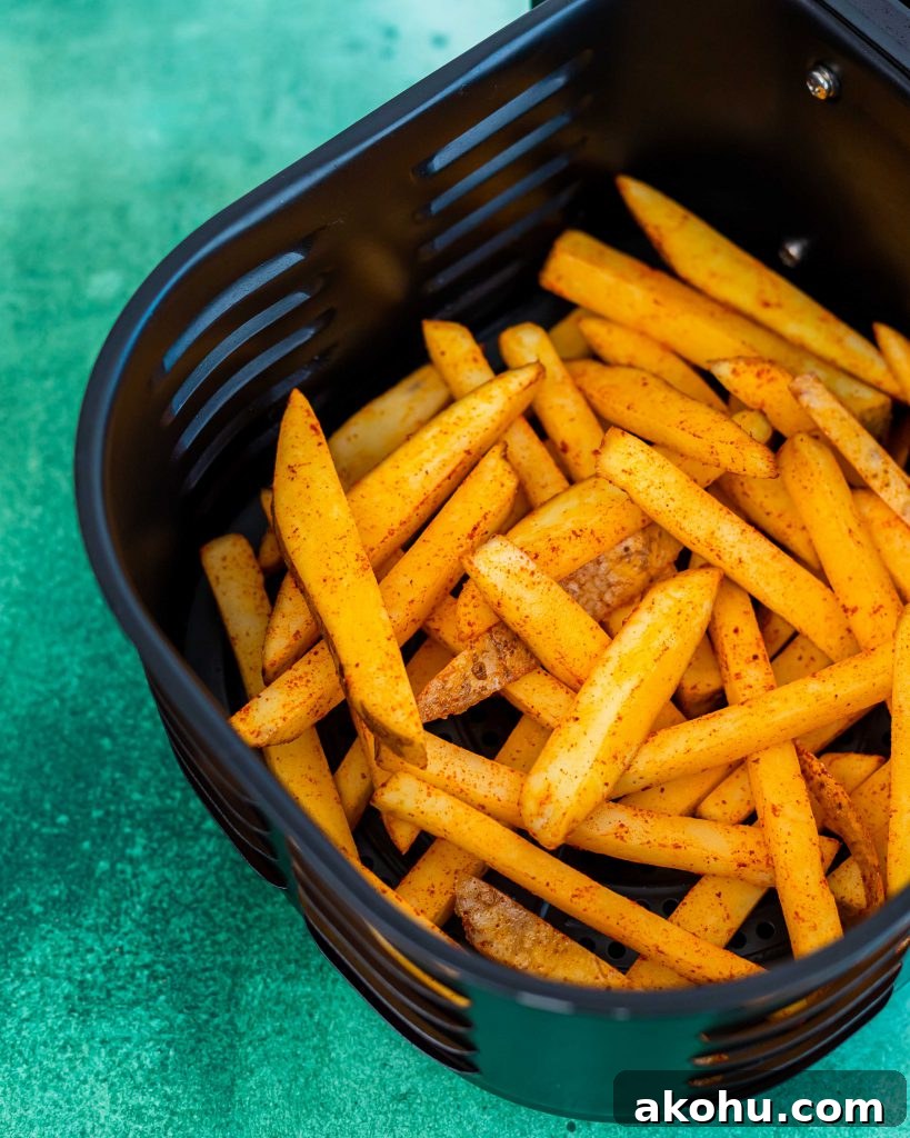 Crispy Air fryer fries