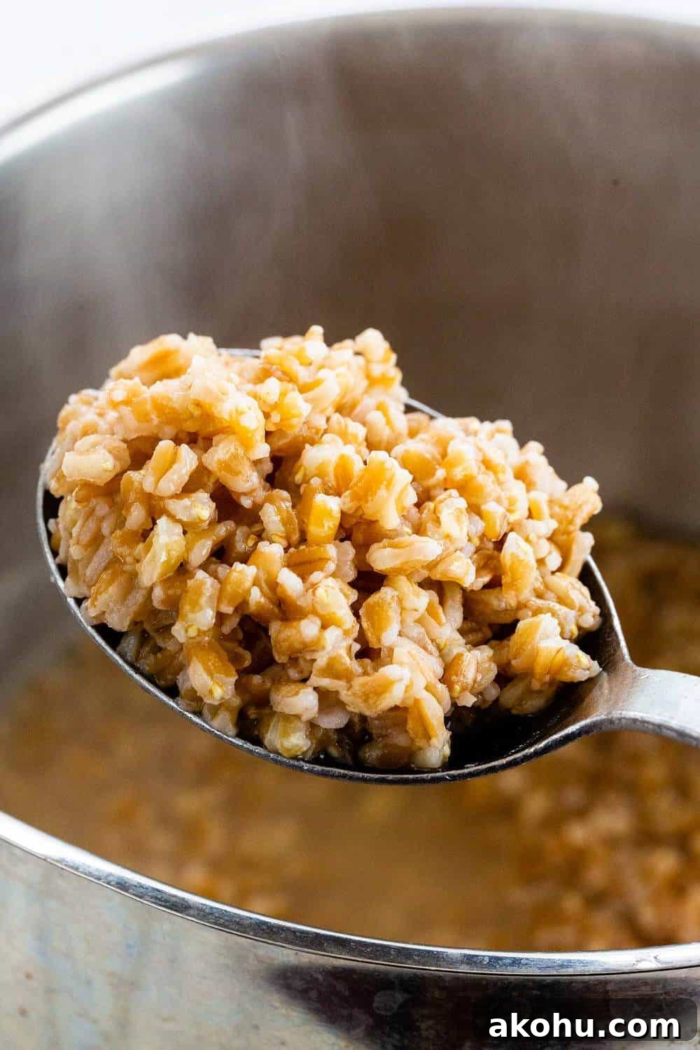 spoon of farro over the stovetop