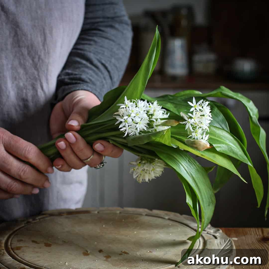 Woman in grey holding a bunch of wild garlic leaves and flowers