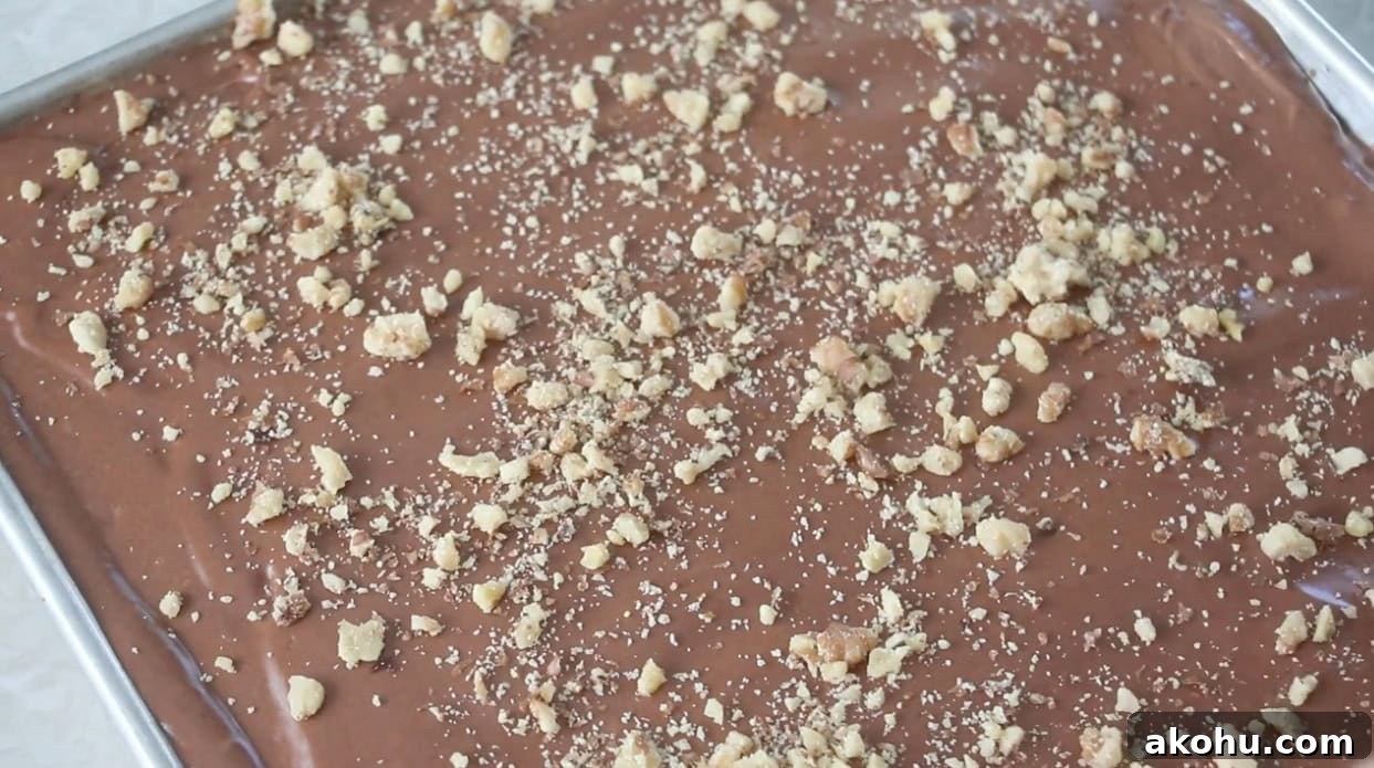 Ultimate Texas Sheet Cake Recipe for Rich Chocolate Dessert 11 Frosted Texas sheet cake in pan.