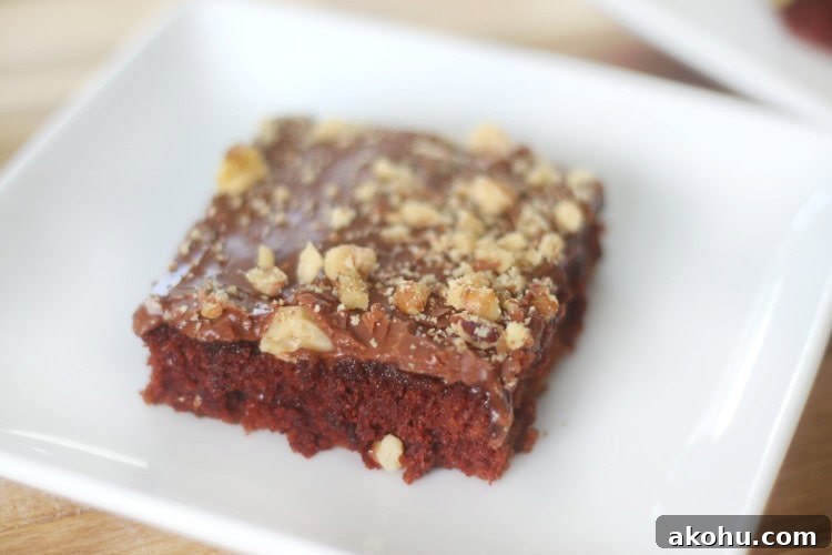 Ultimate Texas Sheet Cake Recipe for Rich Chocolate Dessert 12 white plate with slice of Texas sheet cake