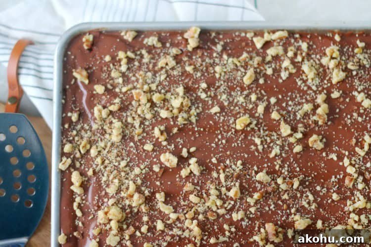 Ultimate Texas Sheet Cake Recipe for Rich Chocolate Dessert 13 Texas sheet cake with frosting and nuts.