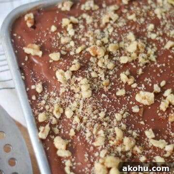 Ultimate Texas Sheet Cake Recipe for Rich Chocolate Dessert 18 frosted texas sheet cake with walnuts
