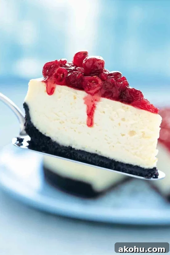 Basque Cheesecake with Tangy Pomegranate Molasses Glaze 16 A slice of cheesecake topped with cranberries on a silver cake lifter.