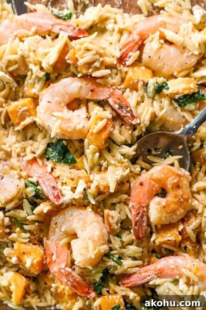Shrimp and Orzo Pasta with Feta & Roasted Butternut Squash