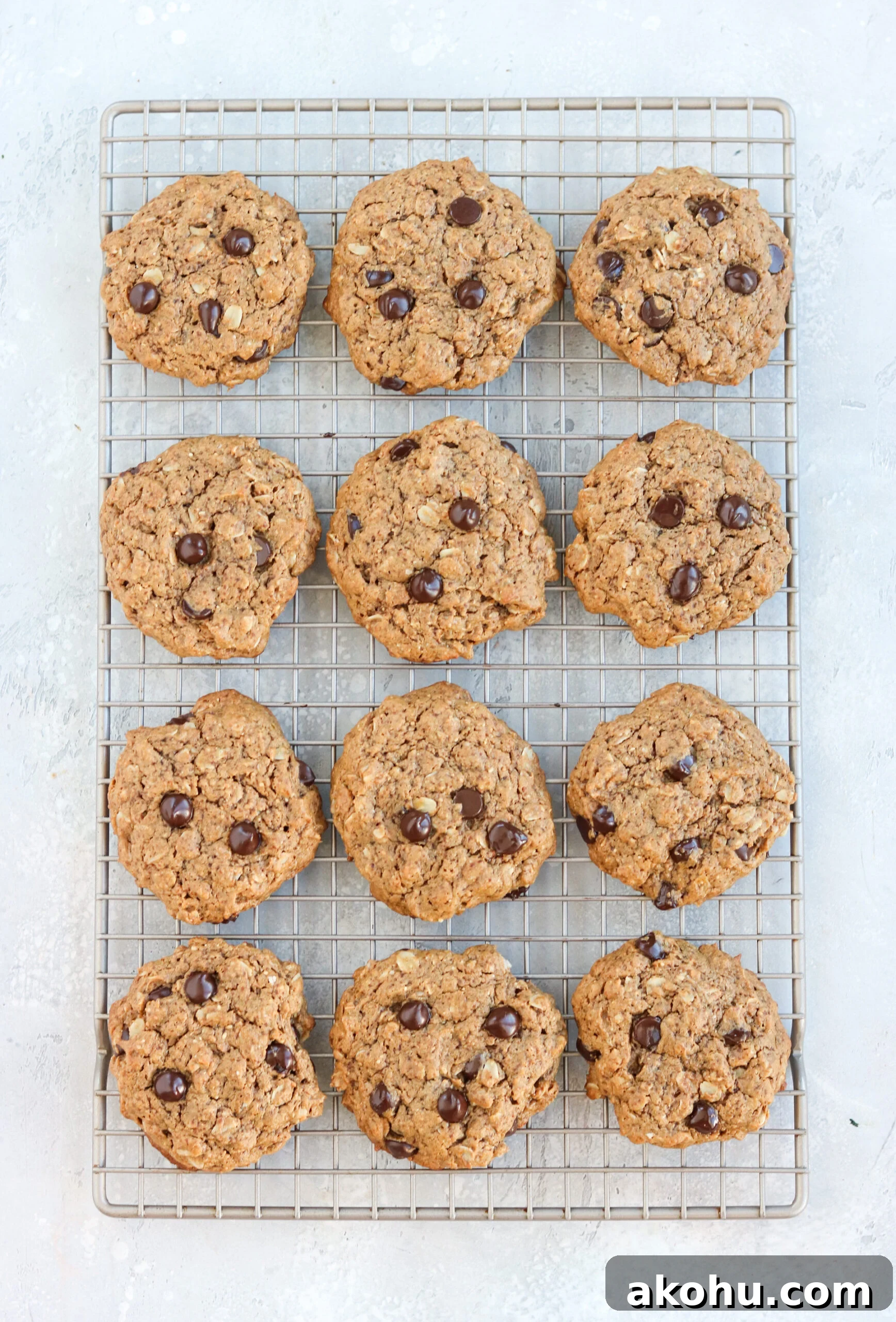 12 chocolate chip oatmeal cookies on a cooling rack