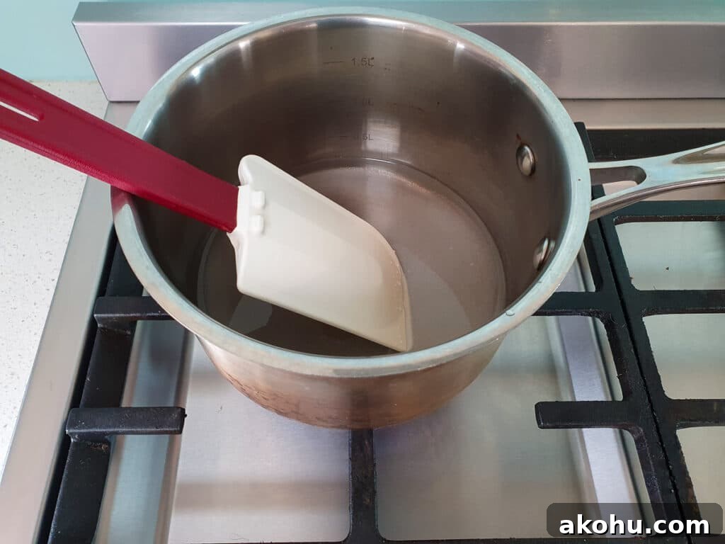 Stirring sugar and water on low heat to dissolve on stove.