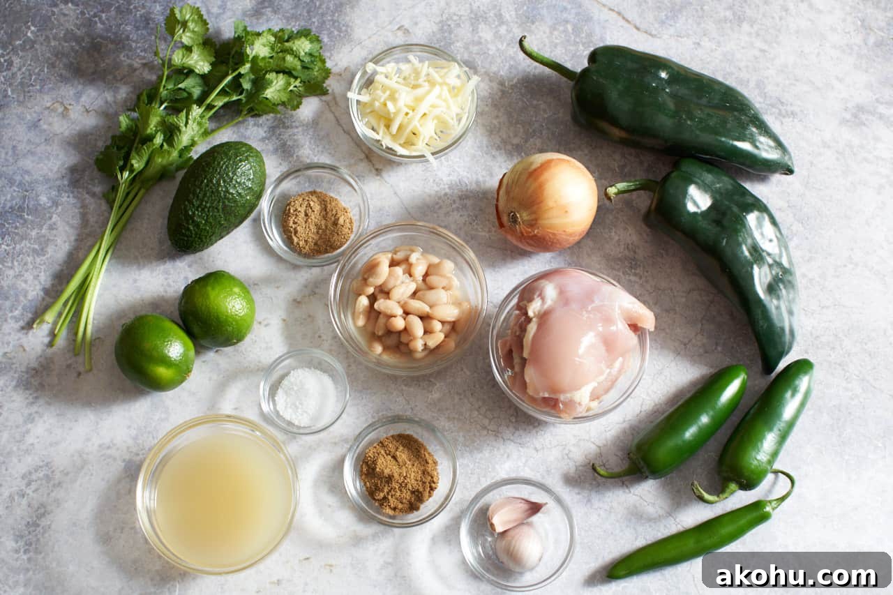 Poblano, jalapeño and serrano peppers, fresh cilantro, limes, and avocado and small glass bowls filled with beans, spices, cheese and other ingredients.
