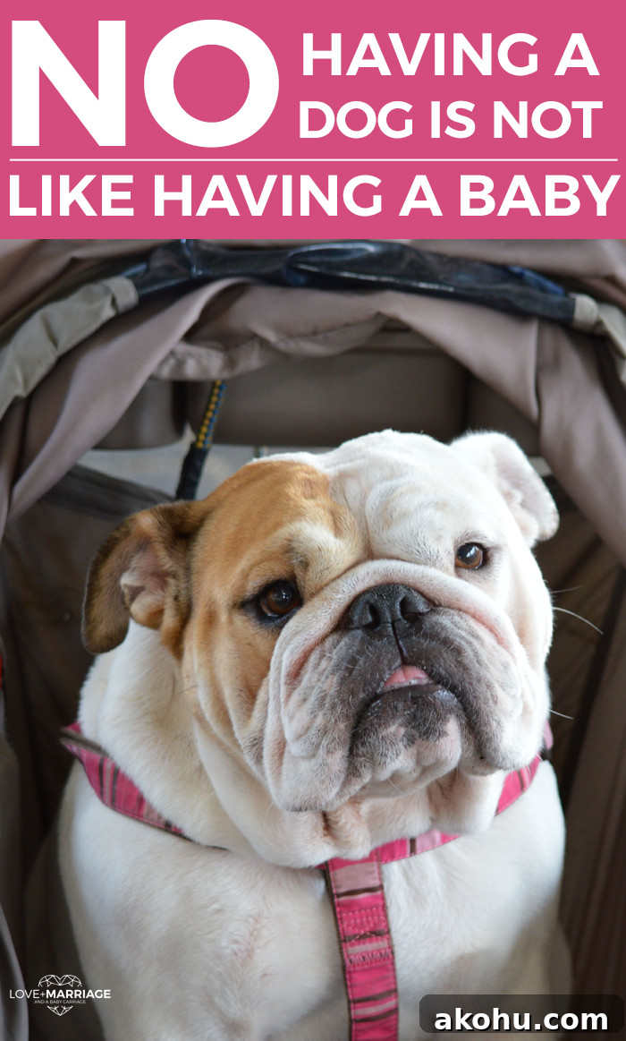 No, Having A Dog Is Not Like Having A Baby