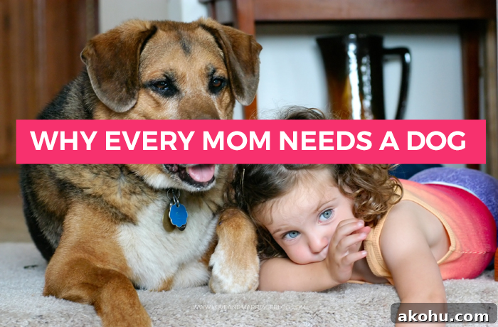 momneedsdog-inpost