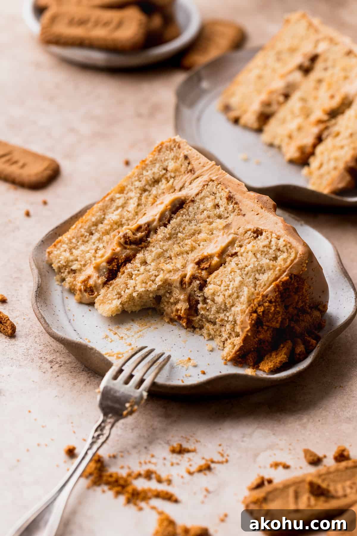 Bite missing from cake slice.