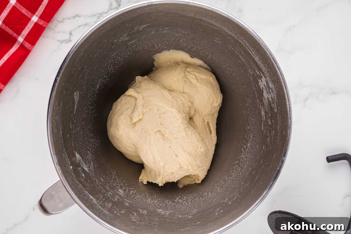 dough mixed and kneaded in stand mixer bowl.